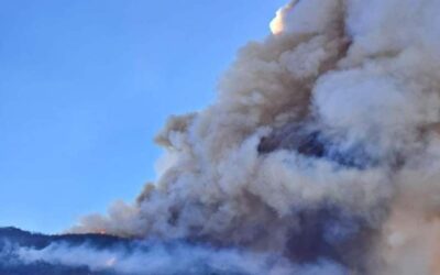 Pide Quiaviní apoyo aéreo para controlar incendio forestal