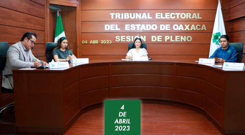 Tribunal quita diputación a PT y la pasa al PVEM