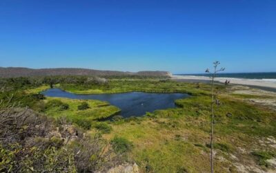 Abren las puertas del Parque Eco Arqueológico Copalita en el parque nacional Huatulco