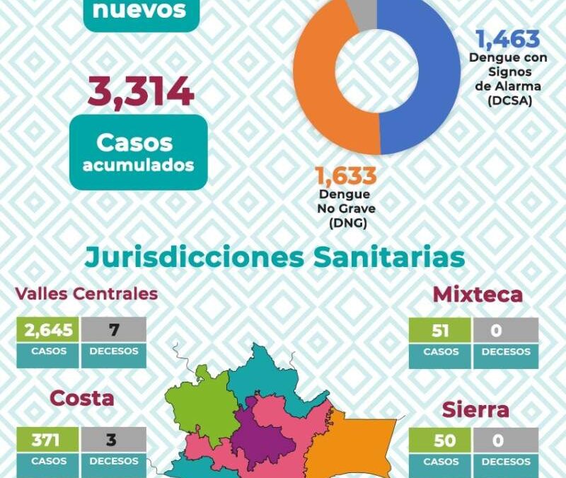 Personas con enfermedades crónicas, propensas a padecer dengue grave