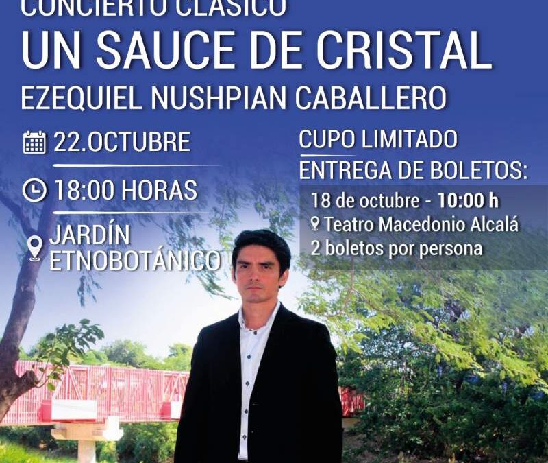 Anuncia Seculta concierto clásico para la tercera función de Tardes de Jardín