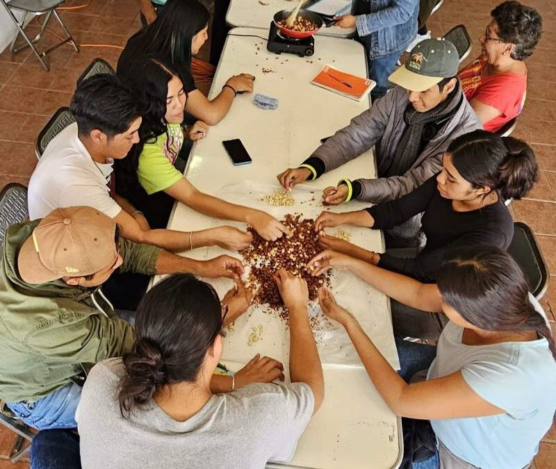 Con capacitación, ofrecen alternativas de desarrollo para jóvenes de Oaxaca