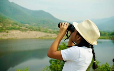 Conmemoran el Día Mundial de las Aves migratorias este sábado