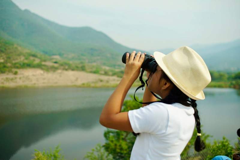 Conmemoran el Día Mundial de las Aves migratorias este sábado