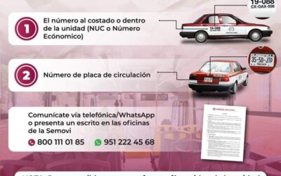 Conoce los datos para reportar quejas sobre transporte público