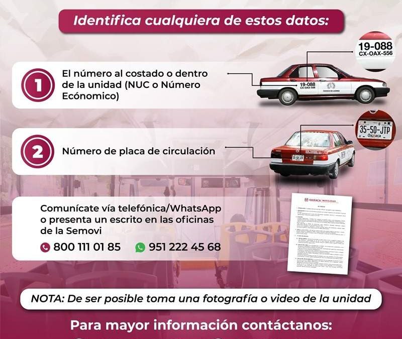 Conoce los datos para reportar quejas sobre transporte público