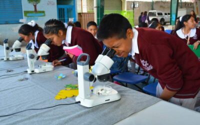 Destacan universitarios en ExpoCiencias Oaxaca 2024 de la región Mixteca