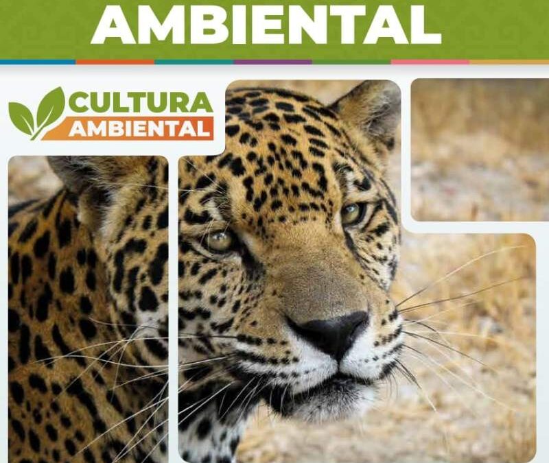 Fortalece Secretaría de Medio Ambiente educación en municipios