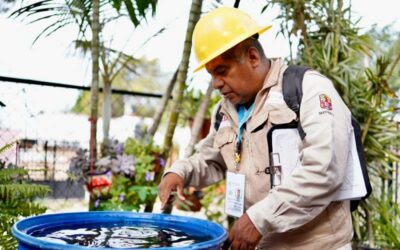 Convoca SSO no descuidar las medidas preventivas contra el dengue