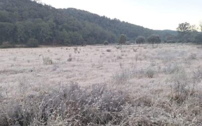 Varios municipios de Oaxaca se verán afectados por la temporada decembrina