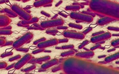 Van 17 menores muertos en tres estados de México por bacteria Klebsiella oxytoca