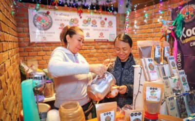 Visitantes disfrutan la Feria Agroindustrial y Artesanal navideña en el Parque Primavera Oaxaqueña