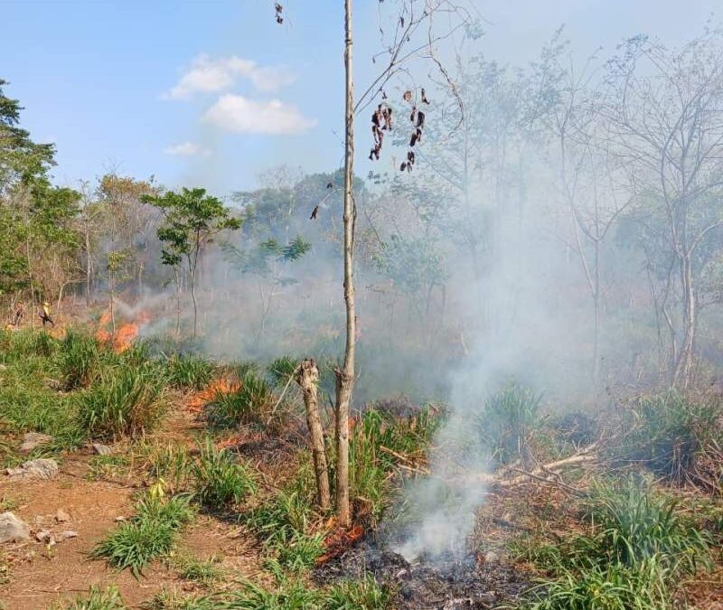 Brinda Coesfo apoyo técnico para quema controlada en Santa María Chimalapa