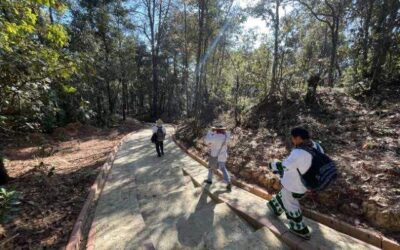 Anuncia Jara que cobró en el sendero de Benito Juárez es ilegal