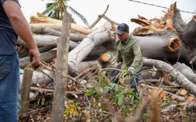 Congreso de Oaxaca continúa sumando esfuerzos para la recuperación de la Costa luego del paso del huracán “Erick”