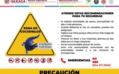 Emite Secretaría de Medio recomendaciones por posibles avistamientos de cocodrilos por el paso del huracán “Erick”
