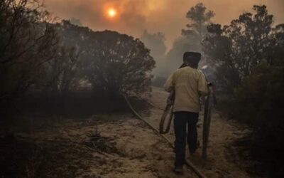 México envía brigadistas forestales a Canadá para apoyar combate de incendios