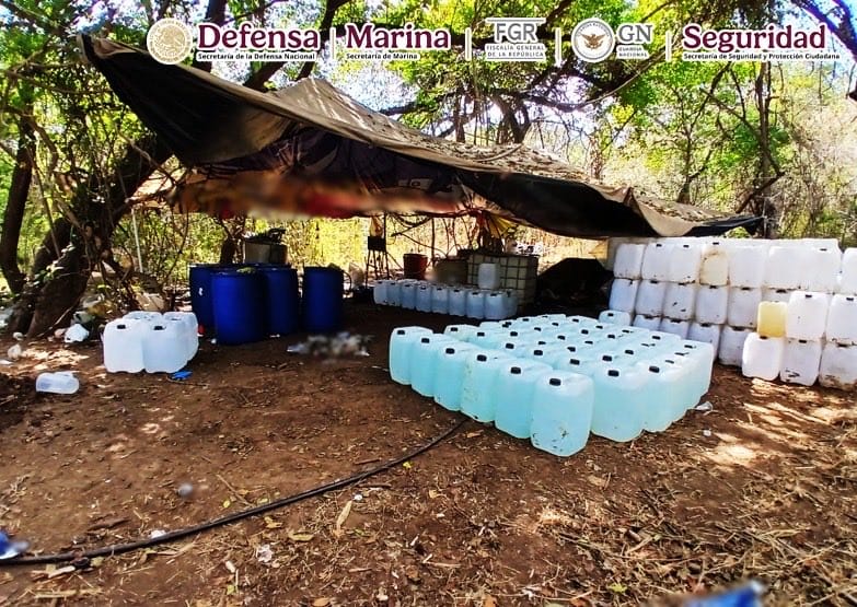 Decomisan drogas en Sinaloa