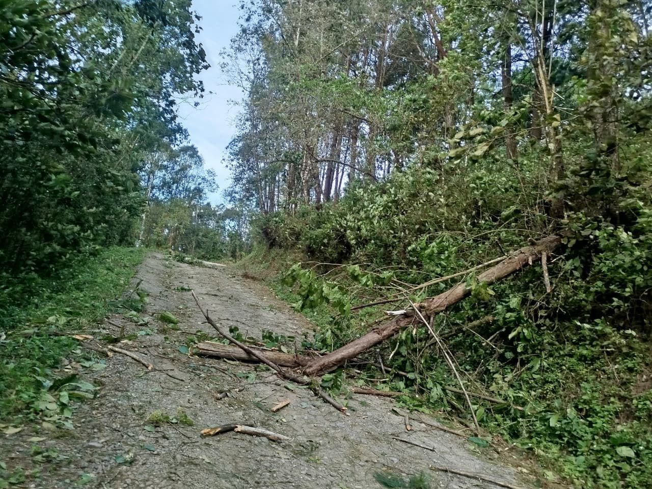 Impacta frente frío número 13 en Oaxaca y suspenden clases en la Mixteca por fuertes rachas de viento