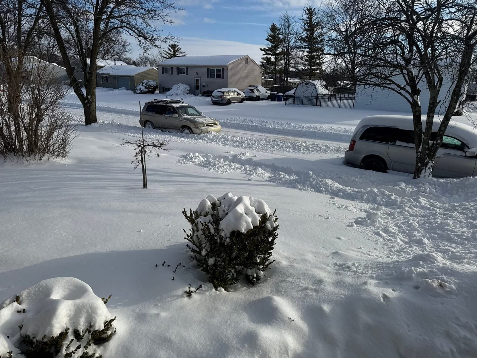 Ola de frío histórica y nevadas en EE.UU.: Florida registra temperaturas inéditas y en Nueva York sube el número de muertos