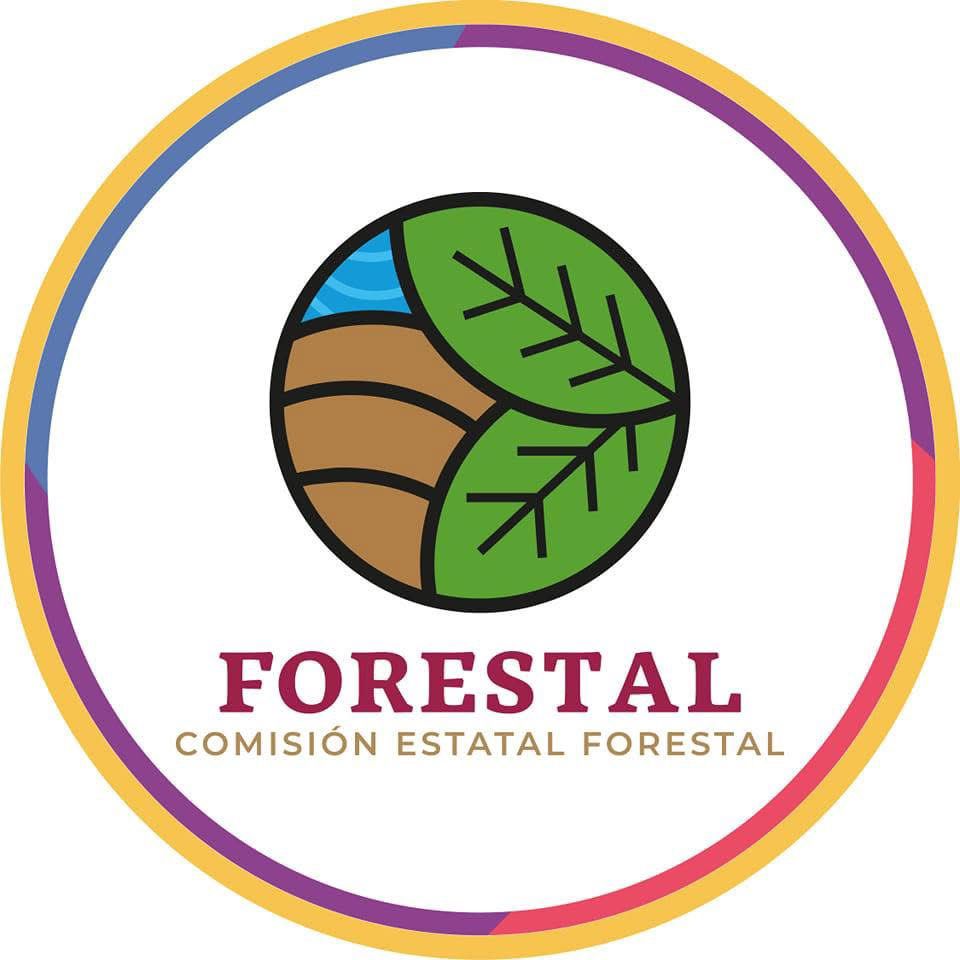 Combate Coesfo incendio forestal registrado en Santiago Niltepec