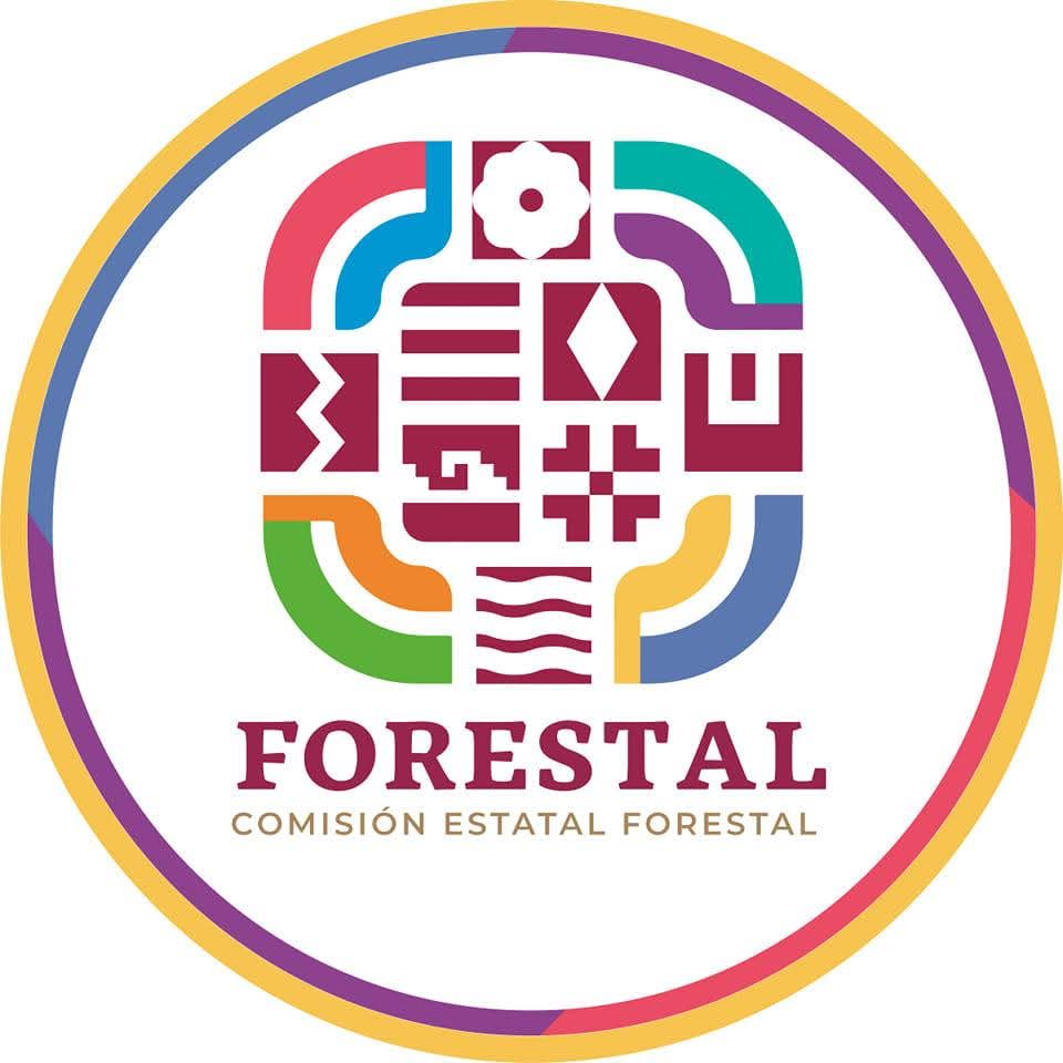 Atiende Coesfo incendios forestales en tres regiones de Oaxaca