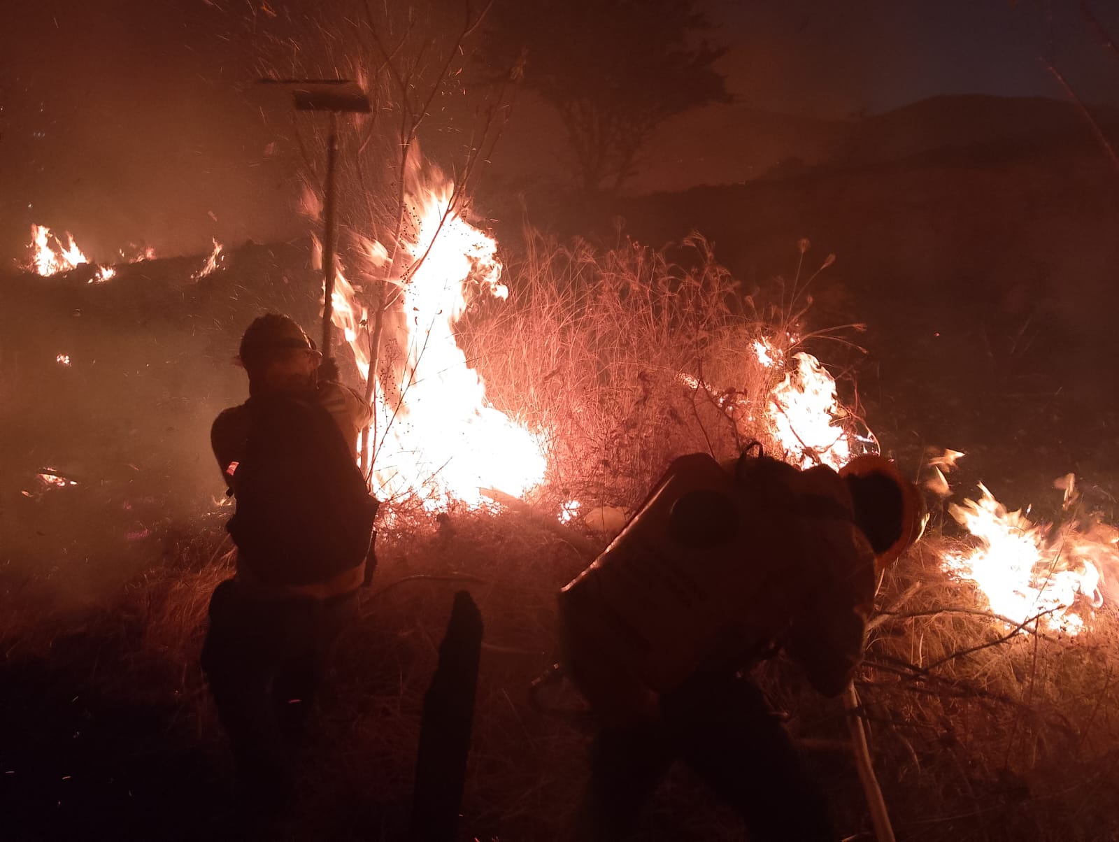 Atiende Coesfo incendio de pastizales en Santa Cruz Xoxocotlán