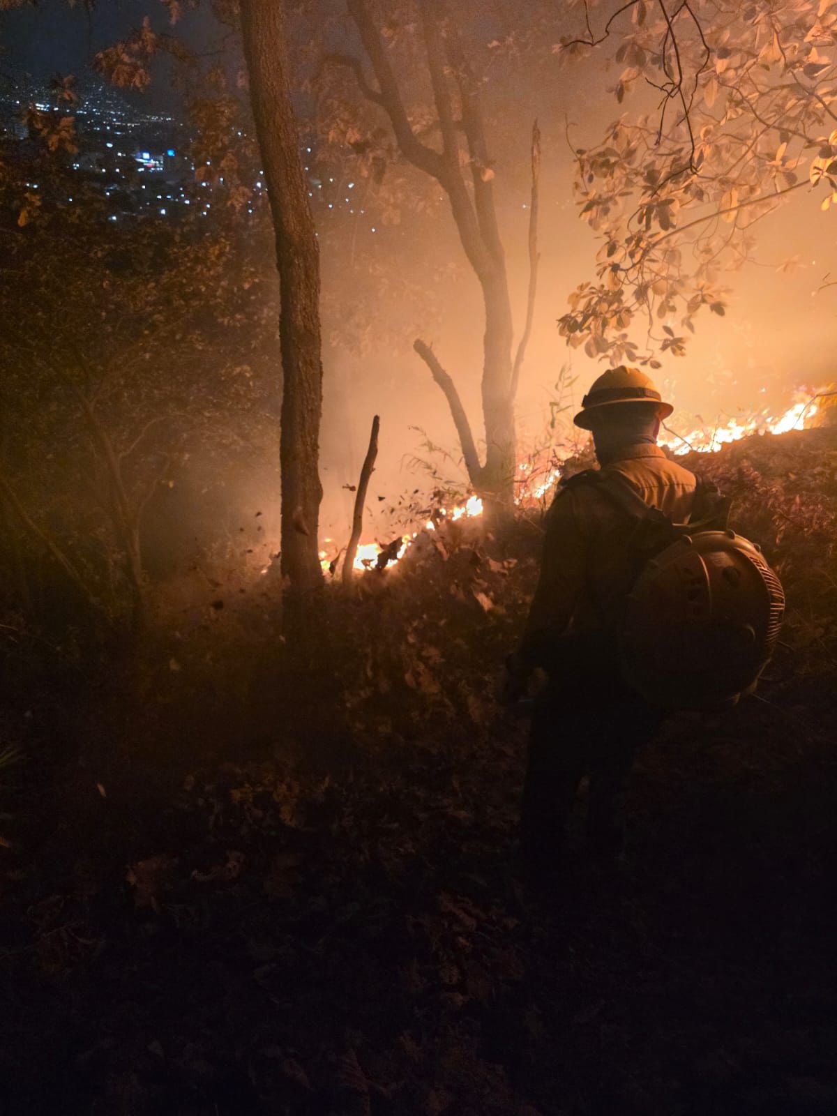 Combate Coesfo incendio en San Miguel de Puerto, está controlado en un 50%