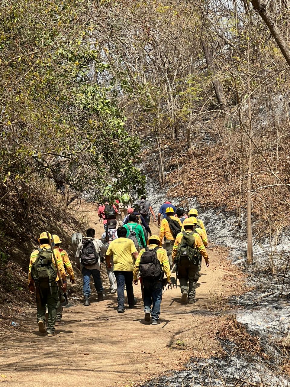 Reporta Coesfo 70% de liquidación en incendio forestal de San Miguel del Puerto • Brigadistas, personas comuneras y poseedoras, así como voluntariado continúa trabajando para eliminar todos los puntos de fuego activo Oaxaca de Juárez, Oax. 26 de febrero de 2026.- La Comisión Estatal Forestal (Coesfo) informa que el incendio registrado en Santa María Xadani, San Miguel del Puerto, en la región Costa, se encuentra controlado en un 80 por ciento y liquidado en un 70 por ciento. Detalla que en el paraje El Achote, este incidente se encuentra controlado totalmente; mientras que elementos de la brigada Pinotepa, así como 15 personas comuneras y poseedoras trabajan en su liquidación, que hasta el momento se reporta con un 80 por ciento. Gracias a la labor de las brigadas Tlalixtac, La Merced El Potrero y Santa María Huatulco, esta última perteneciente a la Comisión Nacional Forestal (Conafor), además de 67 personas voluntarias y poseedoras, en Cerro Lumbre el avance presenta un control del 75 por ciento y liquidación del 50 por ciento. Por último, en el paraje El Arroyo se reporta un 90 por ciento de control y 80 por ciento de liquidación, derivado de las labores directas e indirectas realizadas por la brigada San Carlos Yautepec y elementos de la Secretaría de Marina (Semar). Además, participan activamente habitantes de San Miguel del Puerto, El Coyul, Santa María Petatengo, Bajos del Arenal, Zimatán, Santa María Xadani, La Merced del Potrero, Mandimbo, San Isidro Loma Larga, Llano Grande, El Granadillo, Llano Jícara, Barra Copalita, Copalitilla, Copalita La Hamaca y Santa Catarina Jamixtepec.