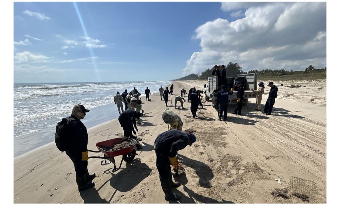 Ante presencia de hidrocarburos en playas de Veracruz y Tabasco, un grupo Interinstitucional de más de 2, 400 elementos atienden la contingencia