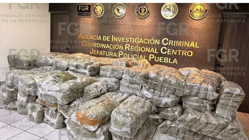 Aseguran mil 360 bolsas de marihuana en un tracto camión en la carretera Oaxaca - Cuacnopalan, Puebla: FGR