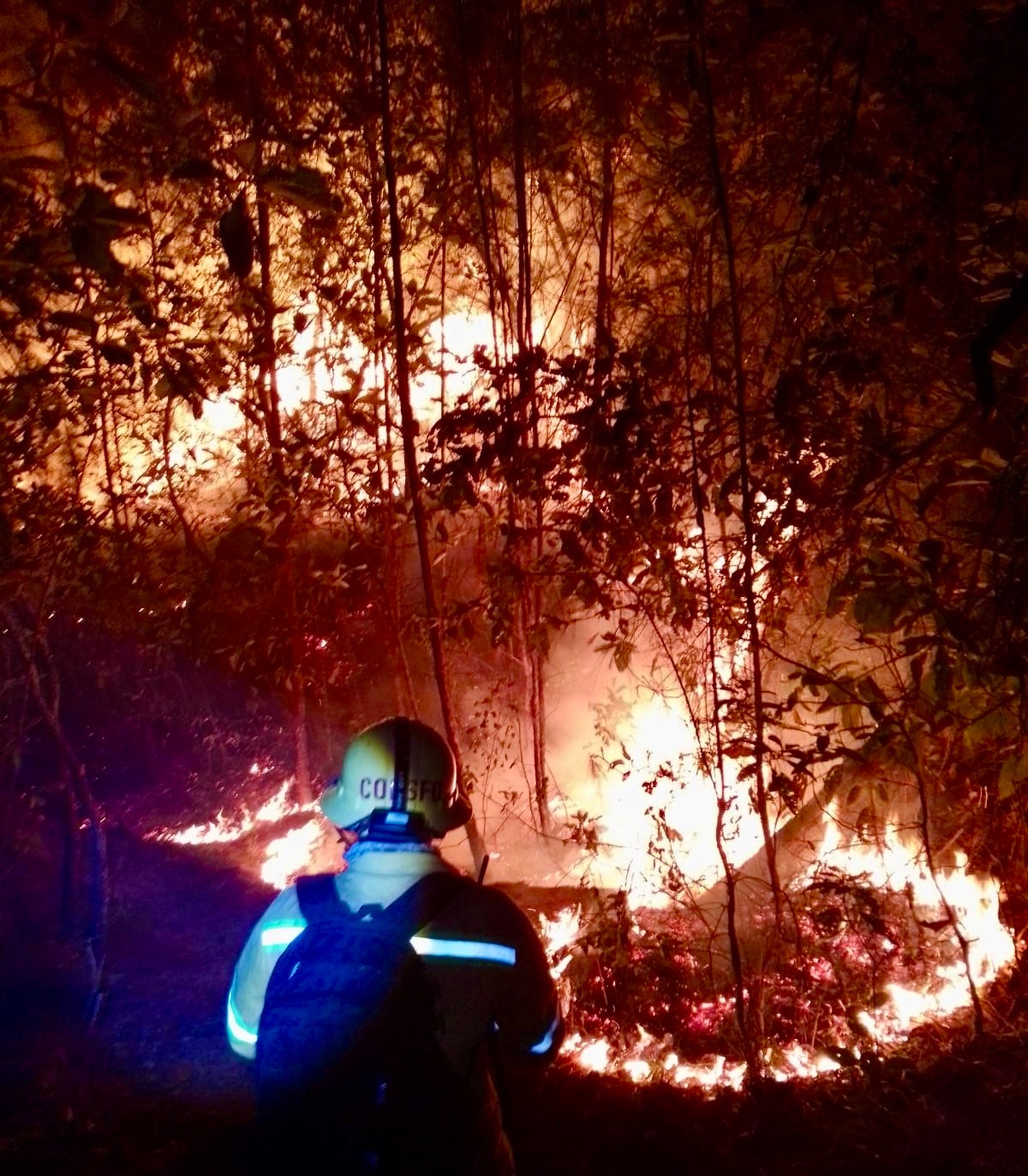 Durante marzo, atiende Coesfo 36 incendios forestales y de pastizales