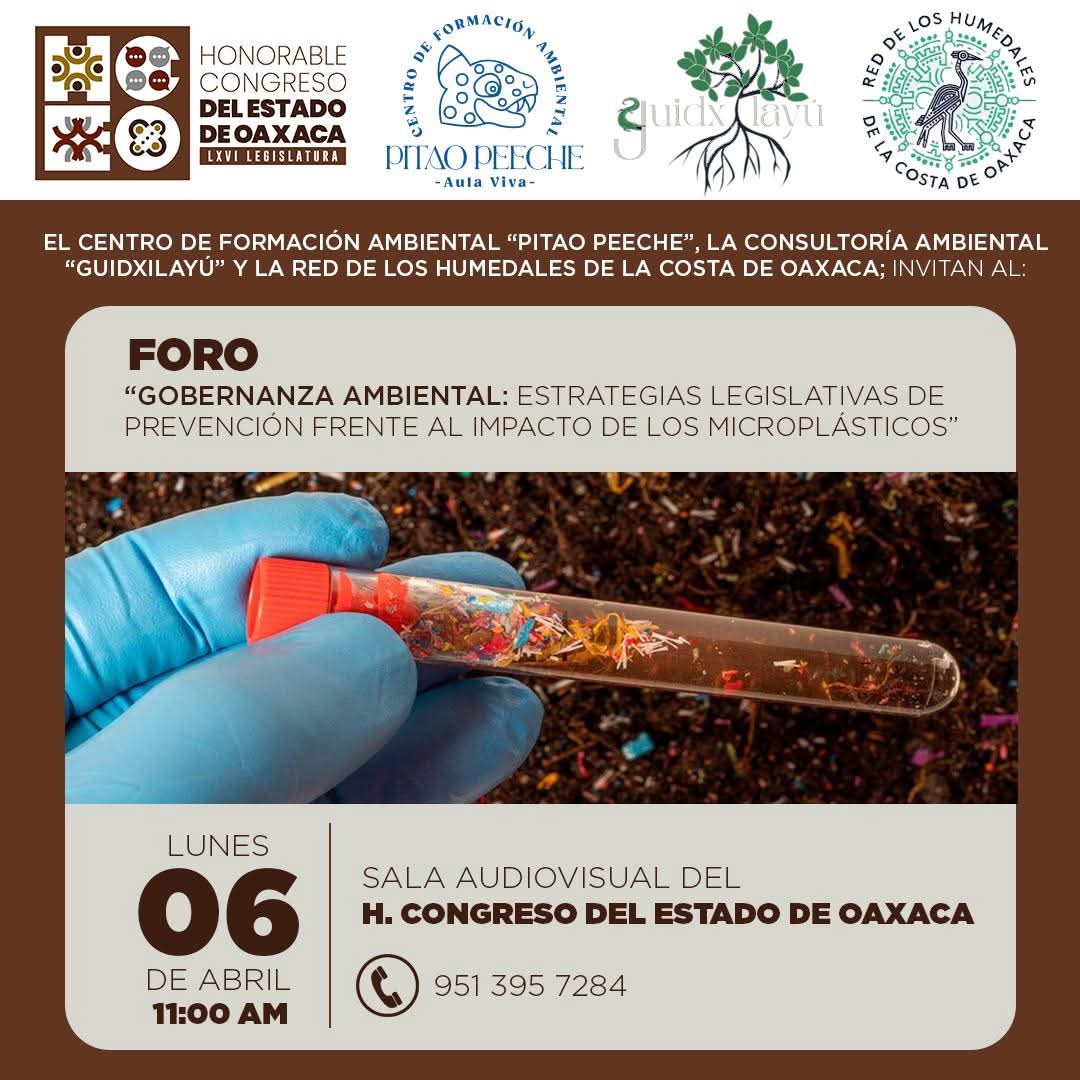 Gobernanza ambiental: Estrategias legislativas de prevención frente al impacto de los microplásticos