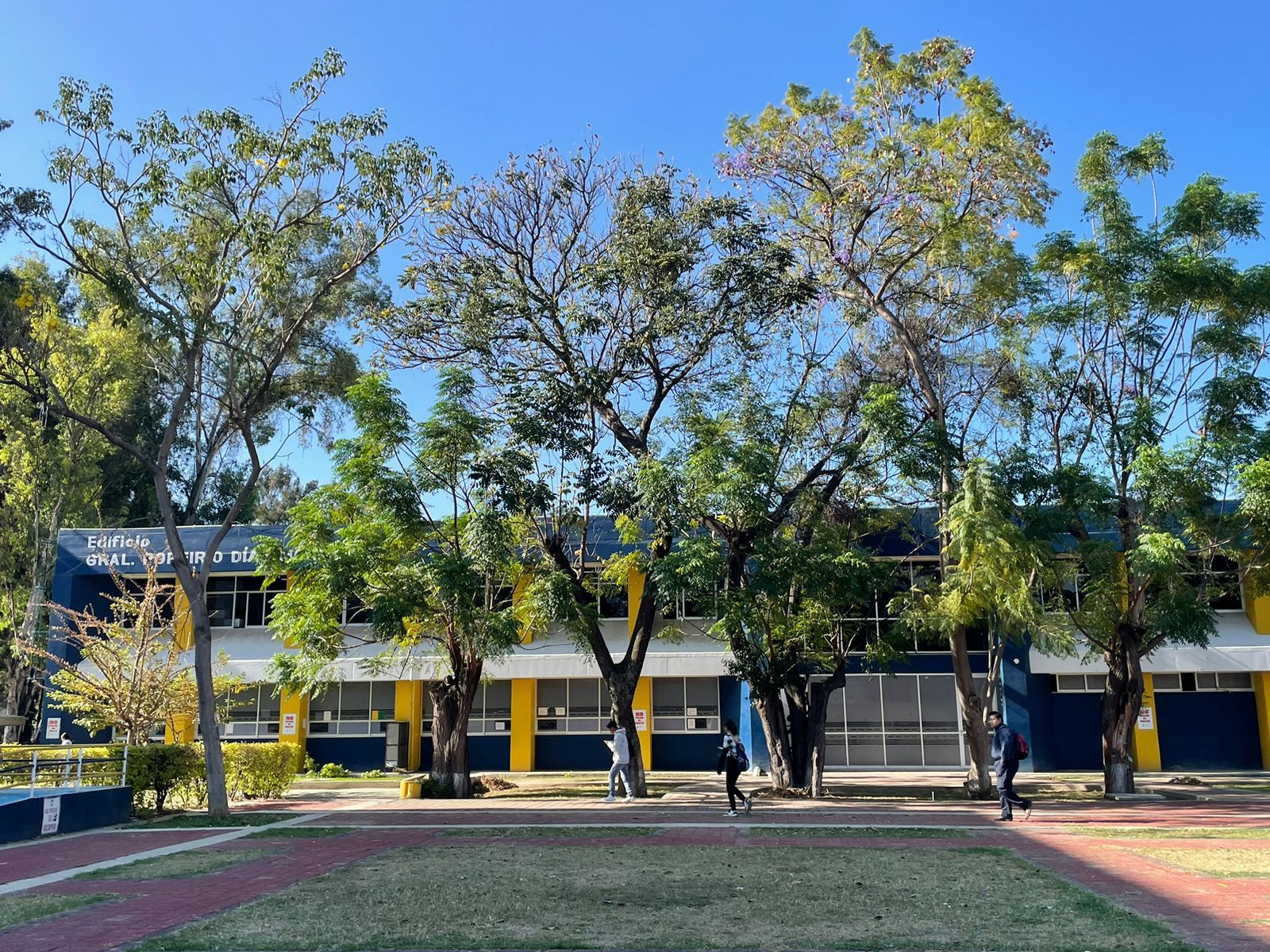 Hoy, la UABJO reanuda actividades en sus 31 unidades académicas