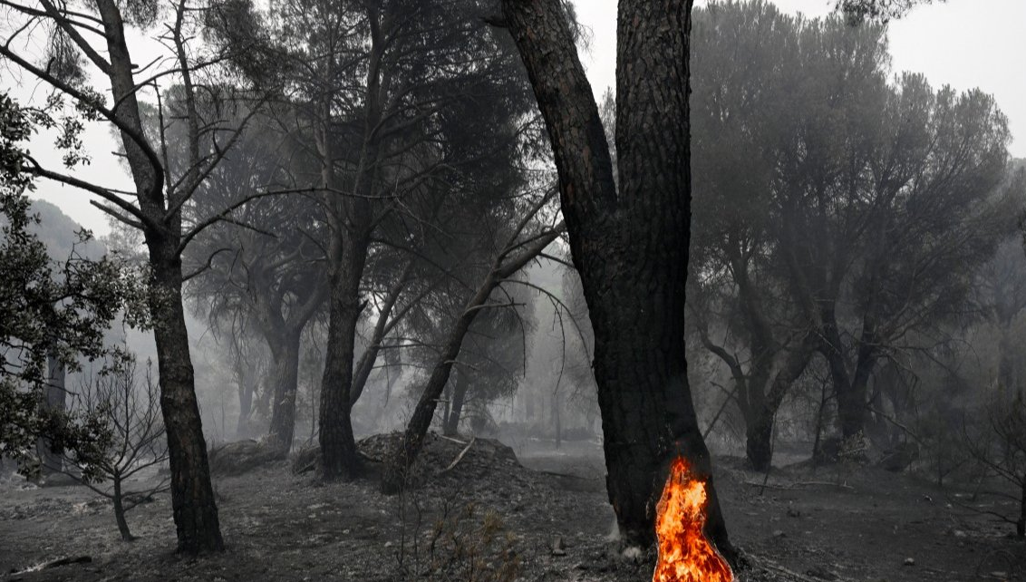Incendios fuera de control en Europa dejan más de 300 mil evacuados y al menos una decena de muertos