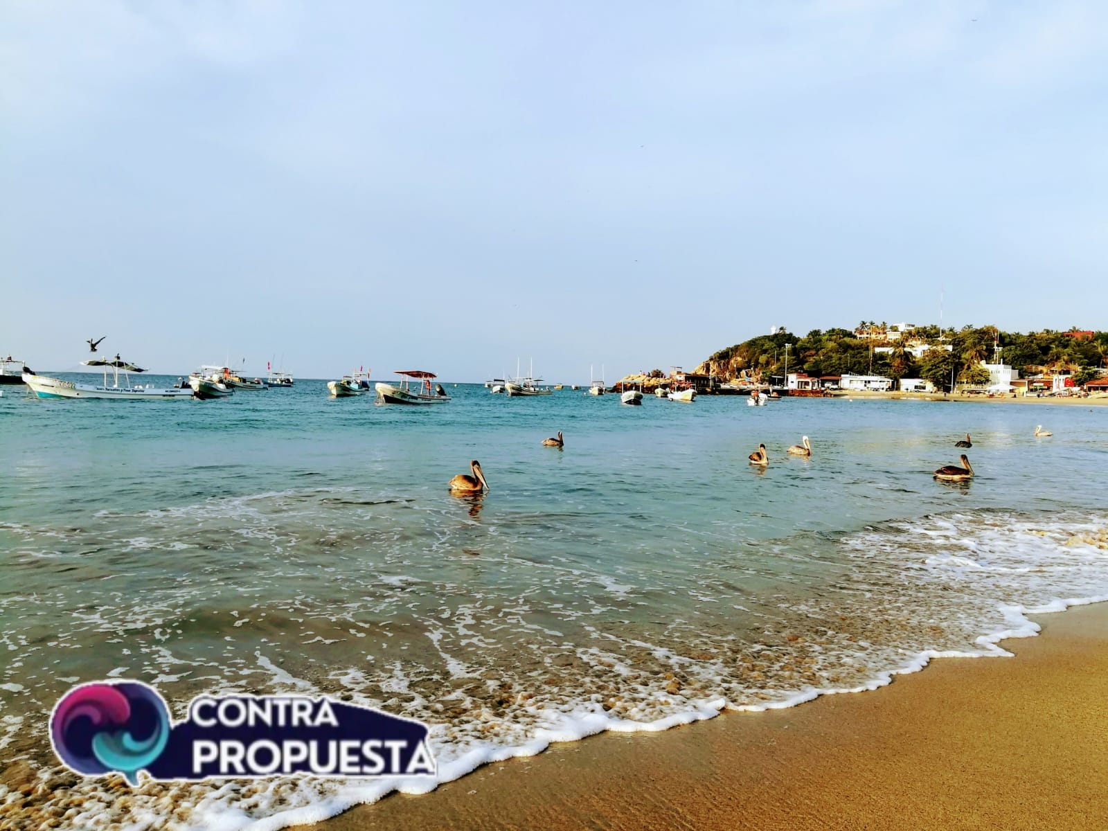 Playas del estado son aptas para uso recreativo durante el periodo vacacional de verano