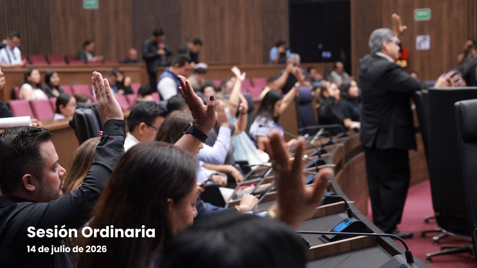 Congreso de Oaxaca aprueba reforma para que municipios implementen programas de esterilización y adopción de animales en situación de calle