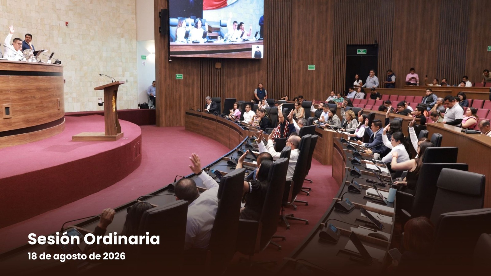 Plantean iniciativa para incorporar programas de promoción y protección de lenguas originarias en el Plan Municipal de Desarrollo